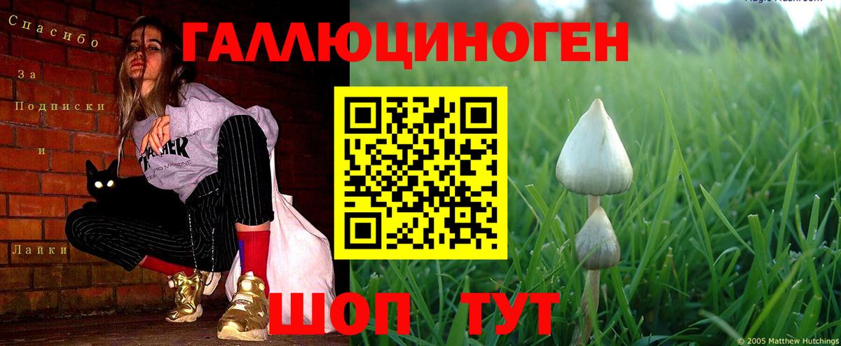 Псилоцибиновые грибы Psilocybe  Вход с VPN  Галлюциногенные грибы прущие грибы  Клинцы 